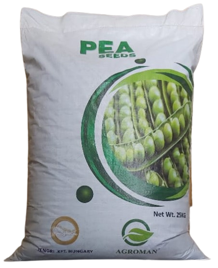 603c0921-3298-4ddd-b9b3-aeb25859fc81-removebg-preview