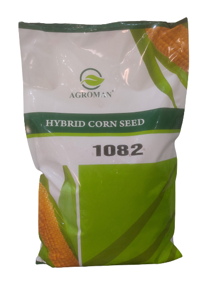 Maize-1082-removebg-preview-1