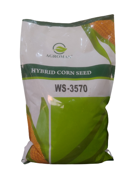 Maize-WS-3570-removebg-preview