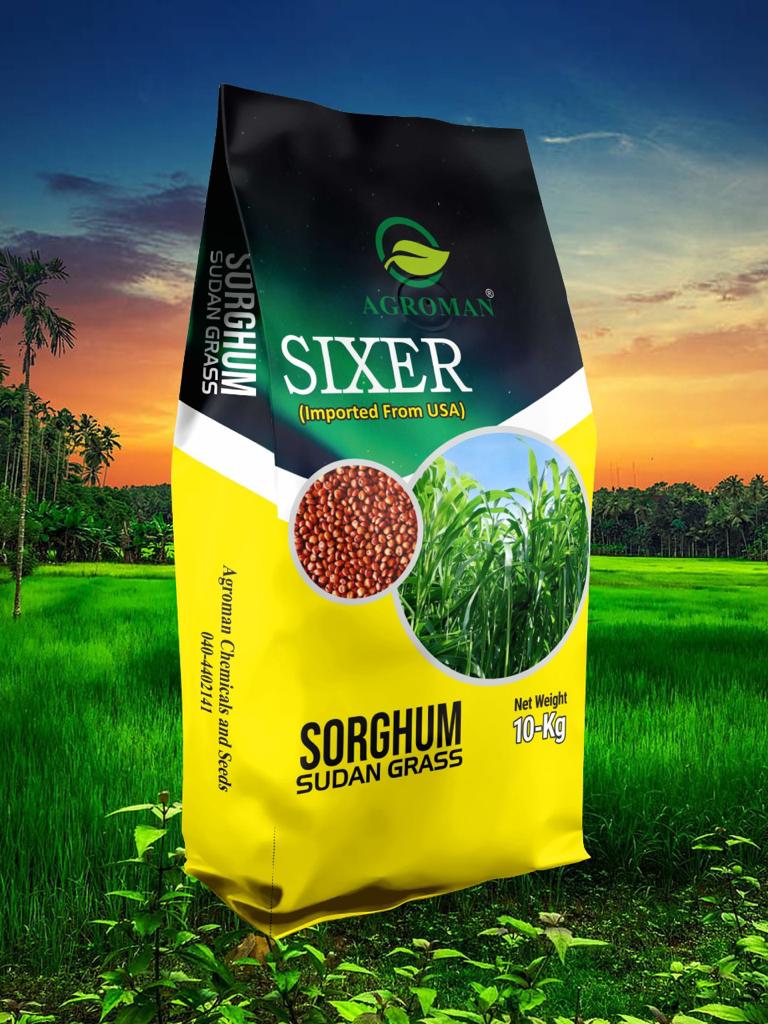 WhatsApp Image 2023-07-23 at 7.38.31 PM