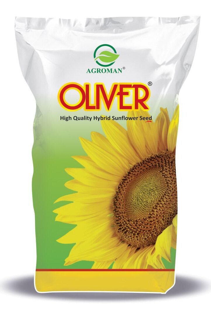 WhatsApp Image 2023-07-25 at 16.59.17