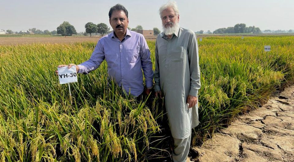 WhatsApp Image 2023-07-17 at 12.24.35 PM (1)